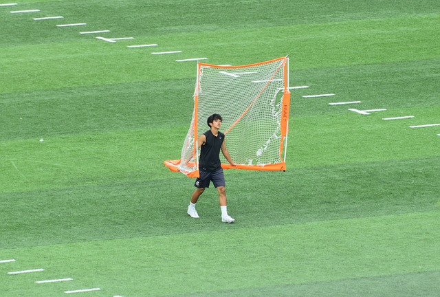 整个国家和 整个国家和