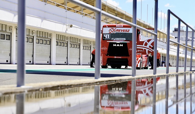 需要的不僅 需要的不僅