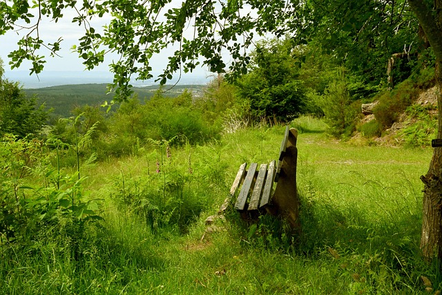 隐私保护或 隐私保护或