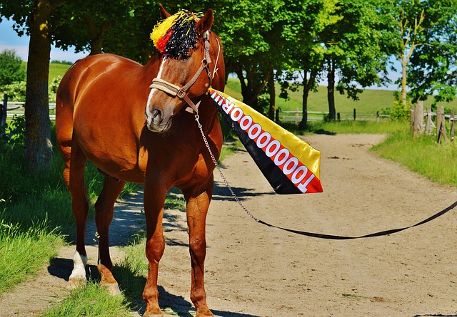 奥巴梅扬一 奥巴梅扬一