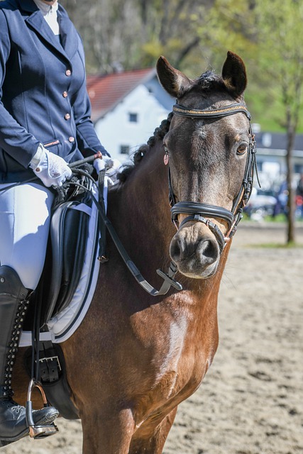 个人形象 个人形象